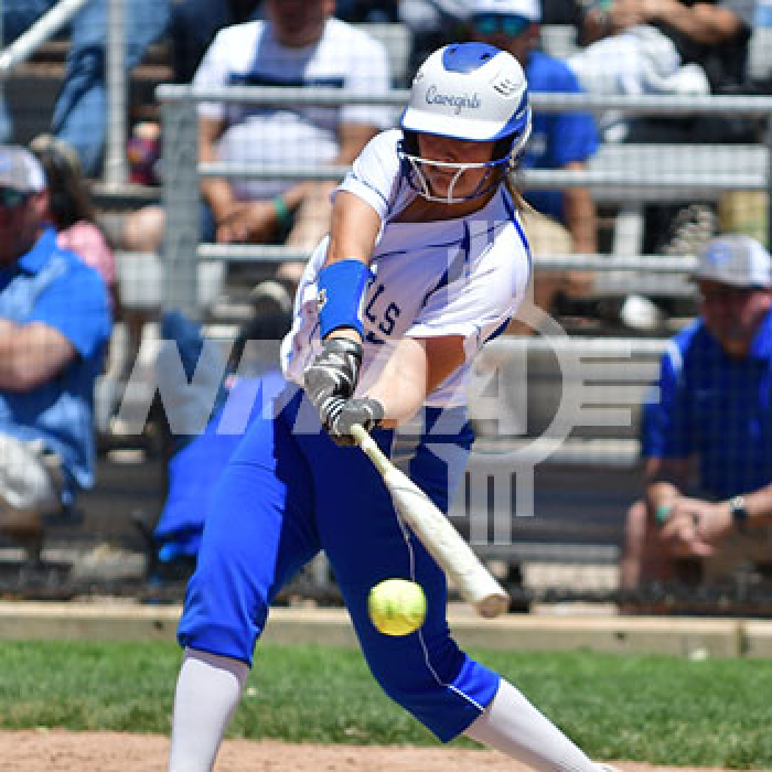 Nmaa Softball State Tournament 2025